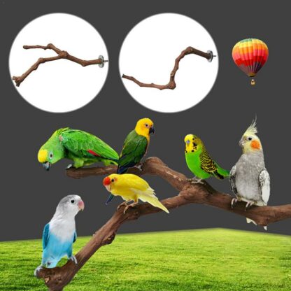 Pet Parrot Bird Standing Stick Wild Grape Wood Pole Bird Cockatiel Parakeet Perches Bite Claw Grinding Toy Bird Cage Accessories