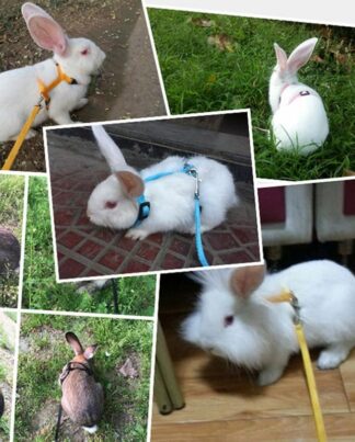 Pet Rabbit Soft Harness Leash Adjustable Bunny Traction Rope for Running Walking WXV Sale