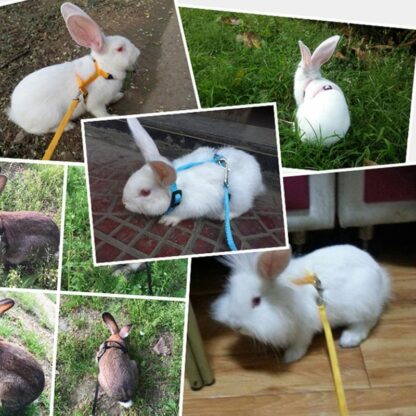 Pet Rabbit Soft Harness Leash Adjustable Bunny Traction Rope for Running Walking WXV Sale