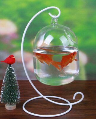 Mrosaa Glass Hanging Aquarium Fish Tank Bowl Flower Plant Vase Table Fish bowl Height 15cm tank for Small fish Pet Supplies