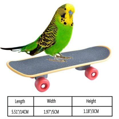 Pet Bird Toys Parrot Toys Funny Intelligence Skateboard Toy Stand Perch Toy For Parakeet Cockatiels Bird Training Accessories