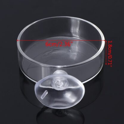 Fish Tank Feeder Aquarium Shrimp Glass Feeding Bowl Clear Dish Tray Aquarium Fish Feeders Aquario Accessory