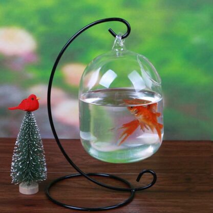 Mrosaa Glass Hanging Aquarium Fish Tank Bowl Flower Plant Vase Table Fish bowl Height 15cm tank for Small fish Pet Supplies