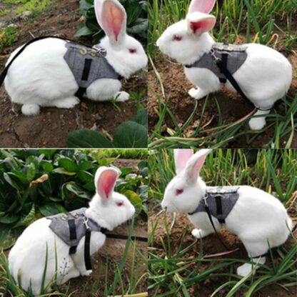 Multipurpose Rabbit Harness Small Pet Leash Chinchillas Guinea Pig Vest Clothes