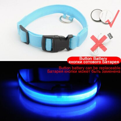 USB Charging Led Dog Collar Anti-Lost/Avoid Car Accident Collar For Dogs Puppies Dog Collars Leads LED Supplies Pet Products