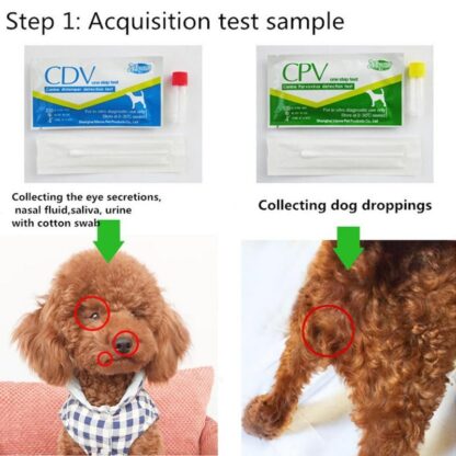 Dog Supplies Canine Dog Distemper Virus CDV/CPV Home Nasal Swab Health Test Paper XH8Z JY20