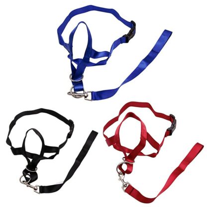 Pet Dog Padded Head Collar Champion Dog Training Halter Stops Pulling Training Tool