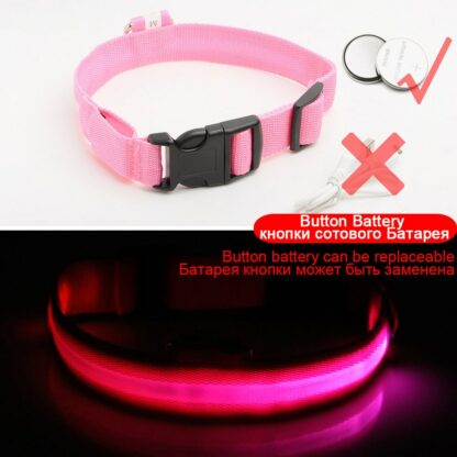 USB Charging Led Dog Collar Anti-Lost/Avoid Car Accident Collar For Dogs Puppies Dog Collars Leads LED Supplies Pet Products