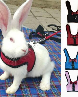 Rabbits Hamster Vest Harness With Leas Bunny Mesh Chest Strap Harnesses Ferret Guinea Pig Small Animals Pet Accessories S/M/L 4