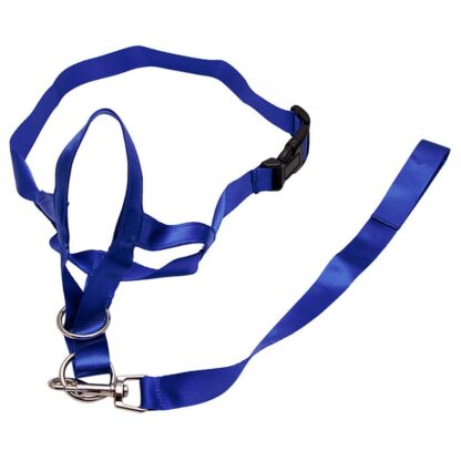 Pet Dog Padded Head Collar Champion Dog Training Halter Stops Pulling Training Tool