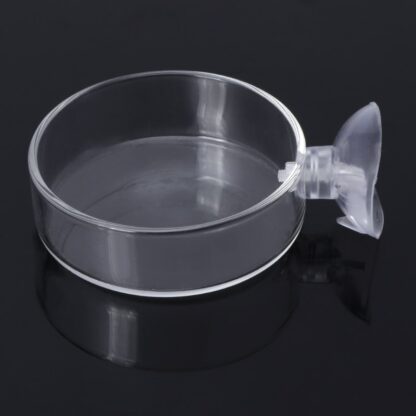 Fish Tank Feeder Aquarium Shrimp Glass Feeding Bowl Clear Dish Tray Aquarium Fish Feeders Aquario Accessory