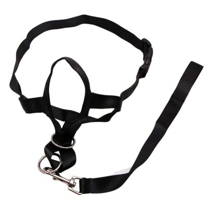 Pet Dog Padded Head Collar Champion Dog Training Halter Stops Pulling Training Tool