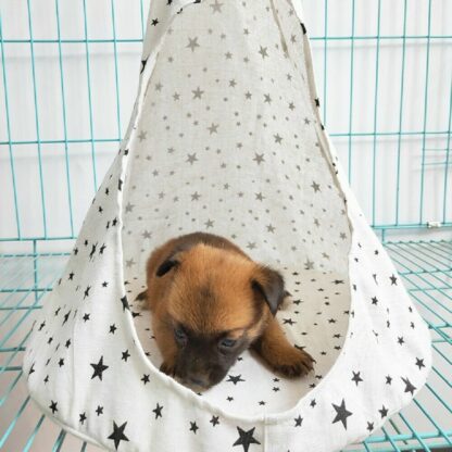 Newest Creative Pet Cat Puppy Dog Conical Sleeping Bed Basket Hammock Bed Mats Window Comfortable Cage Cat Hammock Without Rims