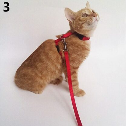 Adjustable Nylon Cat Collar Puppy Pet Harness Collar Lead Leash Traction Safety Rope for Cats