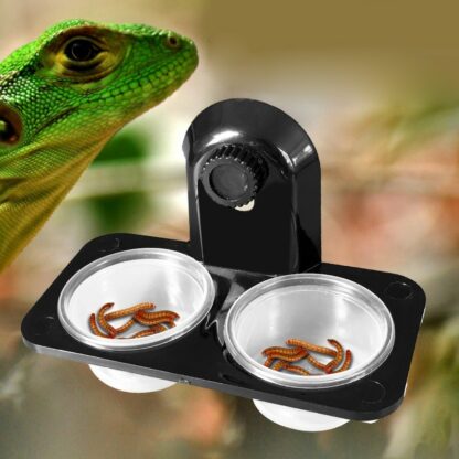 1pcs Reptile Tank Insect Spider Ants Nest Snake Gecko Food Water Feeding Bowl Terrarium Breeding Feeders Box Pets Supplies